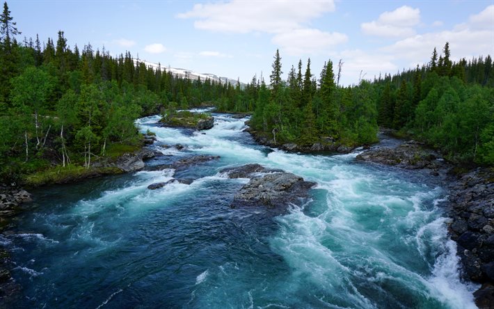 thumb2-spring-mountain-river-norway-forest-river