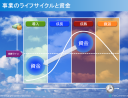 成長のために今すぐ、事業収益の続くうちに！